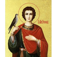 Икона "Трифон", св. мч., с золочением поталью, 09110-УЛ