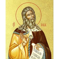 Икона "Илия Пророк Фесвитянин", с золочением поталью, 09И8-УЛ